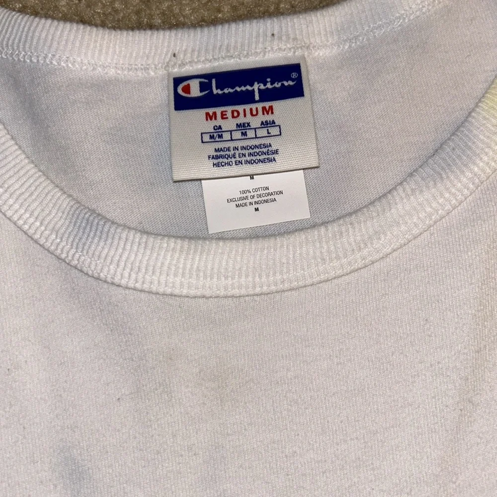 Champion - Picture 2 of 3